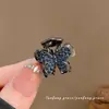 Mini Presilha de Cabelo de Liga Metálica Estilo Coreano com Diamante Preto Azul Presilha de Cabelo de Princesa Presilha Superior Presilha para Franja da Testa