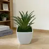 Vaso Quadrado de Suculenta Artificial Transfronteiriço Mini Enfeites de Vasos Entrada de Casa Decoração de Sala de Estar Flores Falsas e Plantas Verdes Preguiçosas Bonsai