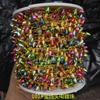 Variedad de luces decorativas pequeñas para la fiesta de Navidad, guirnalda de luces pequeñas con cuentas de plástico plateado, guirnalda de luces de juguete de 5 mm sin electricidad