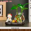 Novo Vaso Hidropônico Gato da Sorte Tendência Estilo Chinês com Pothos Ornamento de Mesa para Decoração de Mesa de Escritório