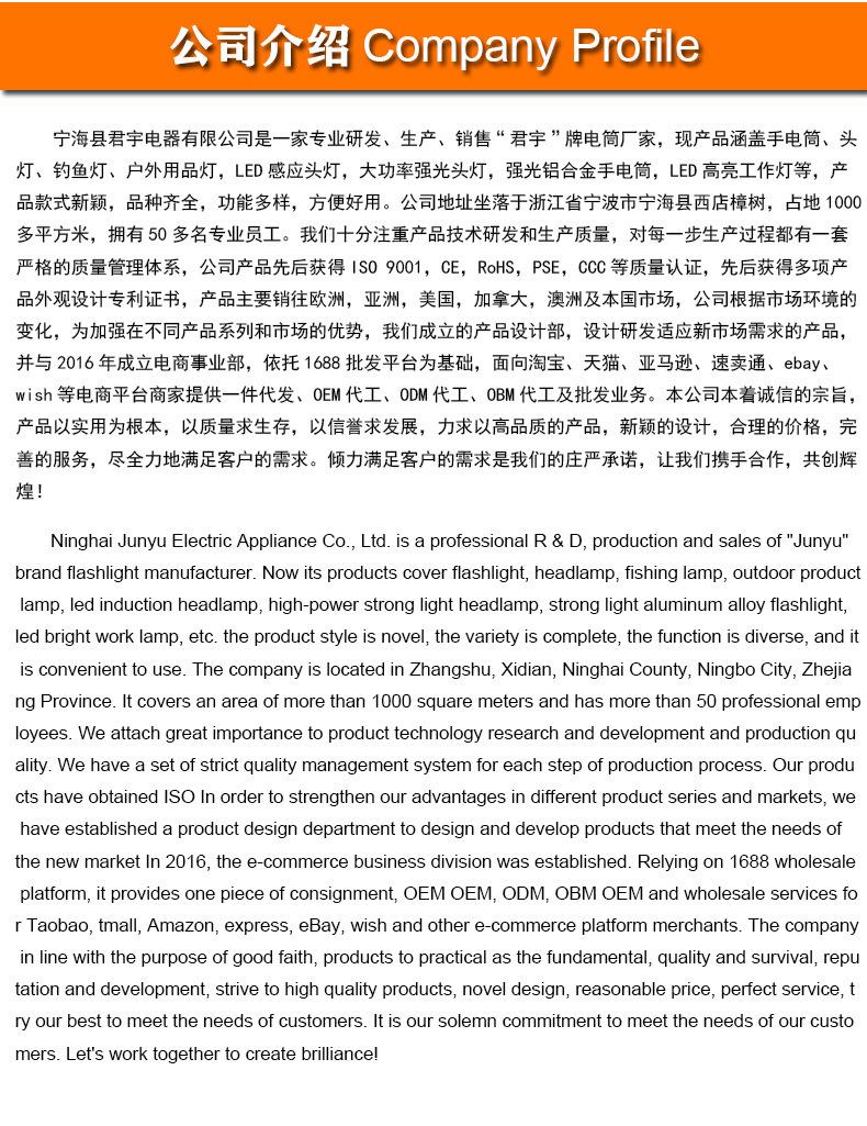 公司介绍