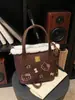 Bolso Pequeño Versátil Ligero Nuevo y Elegante 2025 para Niñas, Bolso Cruzado Hello Kitty con Estampado de Leopardo, Lindo Bolso de Mano Tipo Cubo