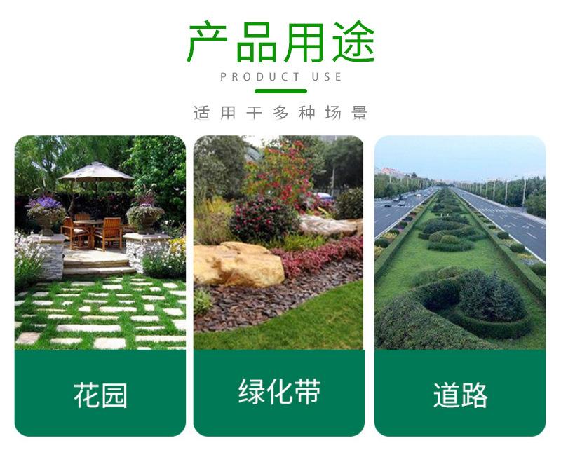 不锈钢隔离带_09.jpg