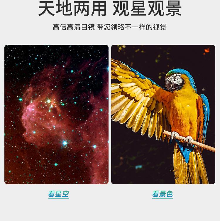 未标题-1_06