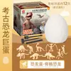 Ovo de Dinossauro Extra Grande Brinquedo de Escavação Arqueológica Caixa Surpresa de Gesso de Dinossauro para Crianças Brinquedo Educacional Infantil