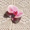 Cabeza de Flor Phalaenopsis Eva Cotton Impresa en 3D (Grande) Flor Artificial Accesorio de Regalo Accesorio para el Cabello Decoración de Ropa Exquisita Decoración de Boda
