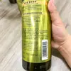 Shampoo Anticaspa Schwarzkopf Essência de Gengibre 600ml Condicionador Cuidado Capilar Controle de Oleosidade Anticaspa