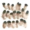 80 Tipos de Penas Naturais de Faisão, Penas Reais, Decorações Nativas Americanas, Acessórios DIY, Acessórios de Cabelo, Peças para Brinquedo de Vara para Gato