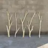 Ramas Secas, Ramas de Madera Natural, Ramas Secas Artísticas, Ramas Muertas, Troncos de Árbol, Formas de Árbol, Percheros de Pared, Decoraciones de Ramas para Techo