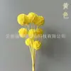 Molino de Viento Fruta de Flor Preservada, Materiales Florales Decorativos Fruta de Piña de Flor Preservada, Adornos para Arreglos Florales, Venta Directa de Fábrica, Superventas Transfronterizos