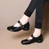 Zapatos Mary Jane vintage de punta redonda para mujer, versátiles para ir al trabajo, con tacón grueso y apertura poco profunda, con diseño de una sola tira, nueva colección de otoño, al por mayor