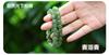 Natural Hetian Jade Contas Espalhadas Contas Velhas Pulseira Colar DIY Acessórios Jade Beads Pulseira Colar Jóias Beads