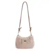 Bolsa Transversal de Pelúcia Ins Trendy Nicho Estilo Coreano para Mulheres, Moda Outono 2025, Bolsa de Ombro Casual Versátil e Estilosa
