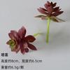 Uau, Suculentas Simuladas Personalizadas, Plantas Verdes, Plantas Decorativas em Vasos, Cactos para Decoração de Casa, Suculentas Falsas DIY Bonsai