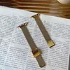 Fábrica Adecuado para Apple Applewatch Reloj Acero Inoxidable Plegable Hebilla Magnética Malla de Espiga Espiga Malla Metálica Correa de Reloj