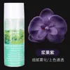 Materiais de Embalagem para Flores, Tinta Spray para Flores Secas, Tinta Spray Cor de Ameixa Preta para Flores, Tinta Spray Floral, Tinta Spray para Flores, Spray de Cor para Flores