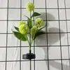 Luz de Gramado Impermeável Solar para Lavanda Montada no Solo, Luz Solar para Jardim e Quintal, Luz Solar Montada no Solo