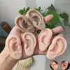 Modelo de Silicone de Orelha Artificial 5D Brincos Falsos para Acupuntura Brincos Adereços de Treinamento de Piercing para Iniciantes Display