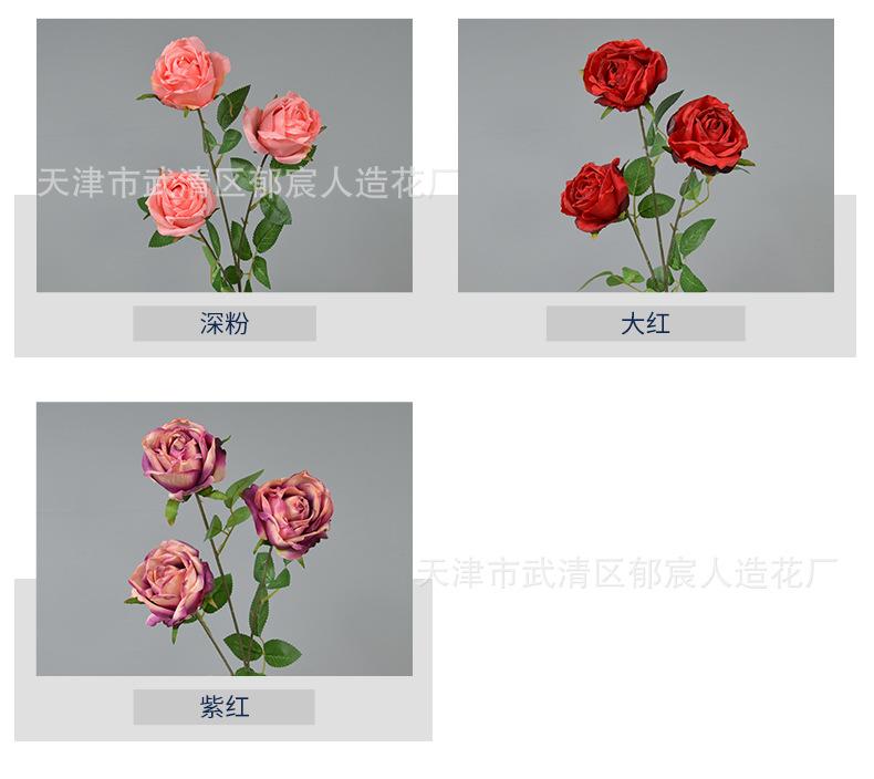 详情_03.png