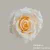 Flores Artificiales Champagne, Rosas y Hortensias Realistas de Alta Gama, Venta al por Mayor para Decoración de Bodas, Materiales DIY para Arte Floral