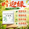 Huerto casero fertilizante foliar para frutas y verduras hoja verde suministro equilibrado de nutrientes mejorar la absorción del suelo problemas de plántula débil hoja amarilla