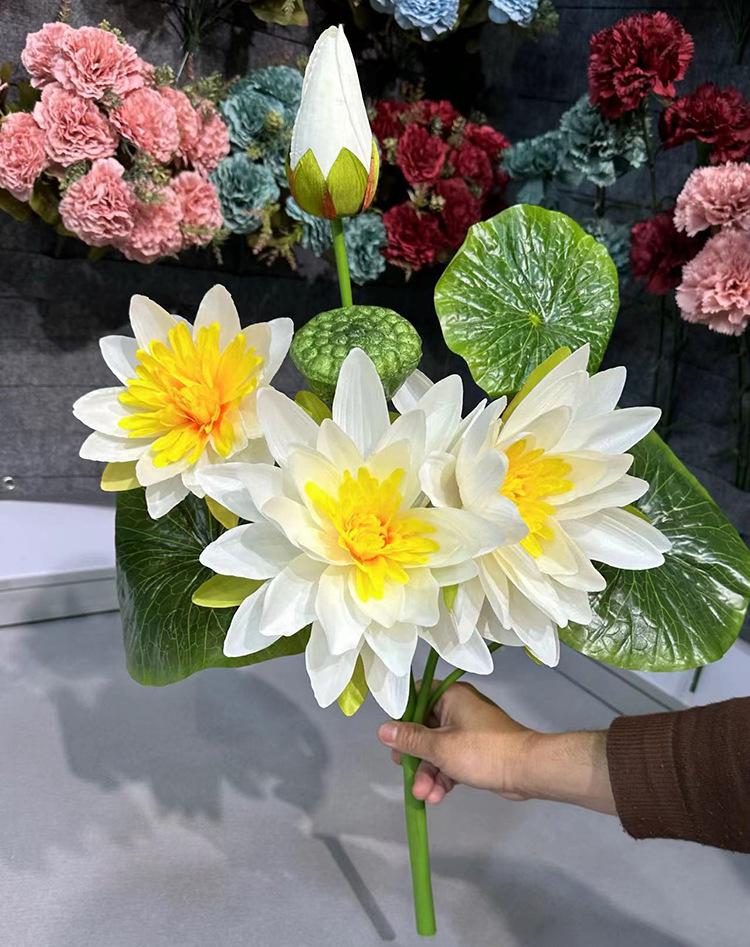 3花1蕾富贵荷花- -黄心白.jpg