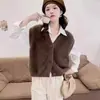 Chaleco de Punto de Terciopelo Imitación Visón para Mujer Primavera 2026 Nuevo Estilo Coreano Holgado de Color Liso Cárdigan Suéter Chaqueta Corta para Mujer