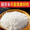 Arroz Gato Diente Arroz de Grano Largo Arroz Fragante Tailandés Arroz Nuevo 2023 Arroz Extra Largo Arroz Sedoso 25kg