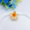 Pinza de Tiburón Flor de Plumeria Multicolor Degradada Pequeña de 4 cm Transfronteriza Estilo Dulce Festivo Pinza para el Cabello Accesorio para el Cabello Más Vendido en Amazon