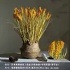 2026 Nuevo Estilo Ramo de Flores Secas Espiga de Arroz Espigas de Arroz y Trigo Decoración de Jardín Accesorios para Fotografía Flores de Arroz