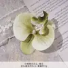 Orquídea Phalaenopsis Flor Cabeza Ramillete Flor de Regalo Pasador de Flor Cabeza de Flor Flor Artificial DIY