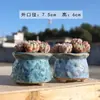Venta Directa Juego de Macetas de Cerámica de Boca Ancha para Suculentas con Almacenamiento de Escritorio y Esmalte Fluido Frescura