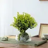 Gardenia Hidropónica Bola de Musgo en Maceta Rosa Miniatura Plantas de Oficina Bambú de la Suerte Árbol del Dinero de Escritorio Interior