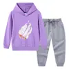 Primavera y Otoño 2023 nueva ropa infantil transfronteriza suéter con capucha para niños pantalones conjunto de dos piezas bebé algodón manga larga