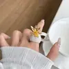 Anel de Abacaxi de Metal Estilo Transfronteiriço Europeu e Americano Design de Nicho Personalidade Anel de Dedo Estilo Tendência Estilo Cool Acessórios Femininos