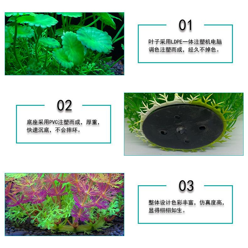 细节.jpg