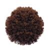 Peluca Africana Transfronteriza con Lazo para el Cabello para Mujeres, Cola de Caballo Alta, Cabello Rizado Natural Esponjoso Estilo Oruga, Peinado Afro