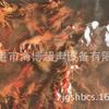 Máquina de Limpeza Ultrassônica de Lagostim para Produtos Aquáticos de Zhangjiapang, Suzhou, Máquina de Limpeza Ultrassônica de Conchas de Frutos do Mar