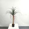 Fábrica de origen imitación Árbol de Yuca multipolo grande para interior centro comercial decoración de paisajismo árbol de sangre de drago Plantas verdes de moda