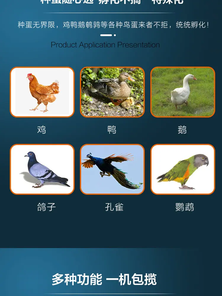详情_04.jpg