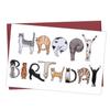 Cartão de Aniversário Interessante Temu com Envelope Cartão de Texto Engraçado Transfronteiriço Paródia Presente Divertido