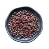 Sementes de Bérberis, Espinhos de Gato, Sementes de Bérberis, Espinhos de Anis Estrelado Atacado e Dropshipping