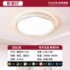 Luz Principal de Sala de Estar 2026 Modelo Nuevo Lámpara Grande Moderna Simple Estilo Floral Crema Lámpara de Techo Iluminación Zhongshan Paquete para Toda la Casa