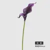 Lírio-do-calla Simulado de Cabeça Única e Dupla Flor Artificial Buquê de Casamento Buquê Lírio-do-calla de Pétalas Duplas de Eva Flor Artificial