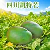 Atacado de Manga Kate Panzhihua Sichuan Entrega 5/ 4,5kg Manga de Casca Verde com Fruta Grande e Polpa Grossa Fruta Fresca