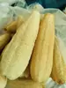 Estropajo Casero de Lufa para Lavar Platos, Lufa de Agua, Pulpa de Lufa Vieja para Fregar, Baño, Fibras de Lufa, Cepillo de Lufa para Lavar Platos que No Retiene Grasa
