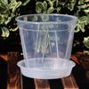 Nova bacia transparente de controle de raiz verde para montanha, bacia respirável para orquídea borboleta, bacia para jardinagem de flores, vaso de flores para plantio quente de orquídeas Dendrobium, atacado