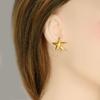 Pendientes de estrella de mar de playa de moda transfronteriza de acero inoxidable 304, pendientes sencillos y versátiles, pendientes de oro de 18 quilates al vacío en stock