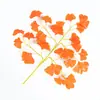 Suministro de fábrica ramas de simulación hojas de ginkgo decorativas ramas falsas plástico plantas verdes grandes Red popular venta al por mayor