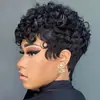 Comércio Transfronteiriço Novo Estilo Cabelo Cacheado Curto Africano Peruca Curta Preta Cacheada Feminina Peruca Sintética para Cabeça Inteira